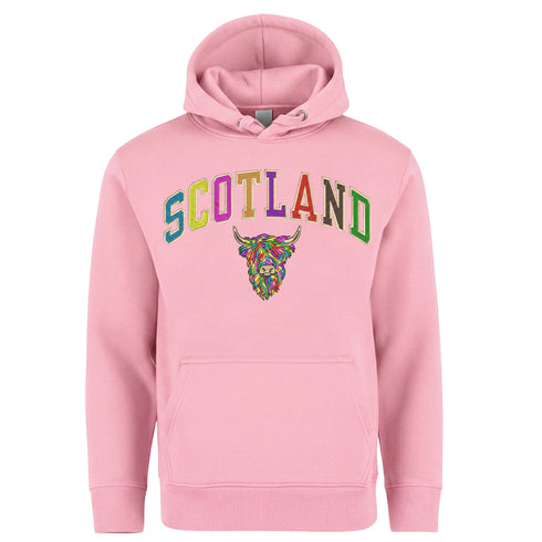 ADULT HOODIE | EMB SCT/MLT COW 2