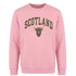 ADULT SWEATSHIRT | EMB SCT/BR COW 1