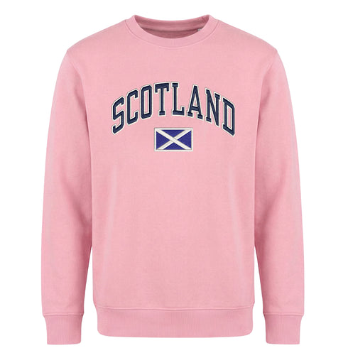 ADULT SWEATSHIRT | EMB SCT/FLG
