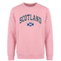 ADULT SWEATSHIRT | EMB SCT/FLG