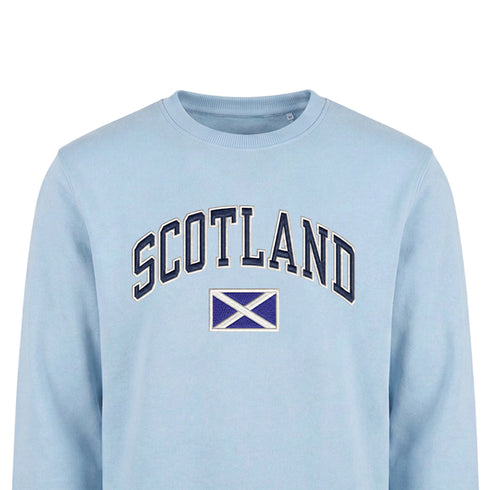ADULT SWEATSHIRT | NVY APL SCT/FLG