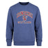 ADULT SWEATSHIRT | TRT APL EDN/LIN/SCT