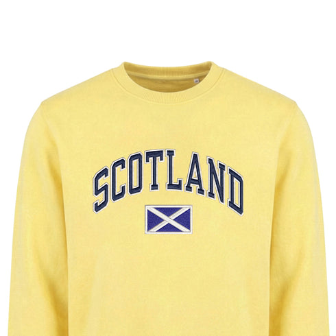 ADULT SWEATSHIRT | EMB SCT/FLG