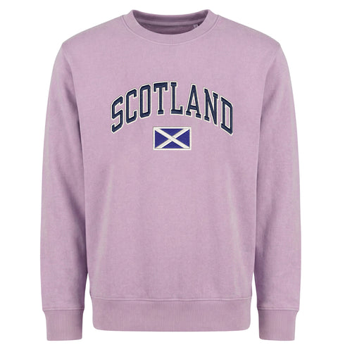 ADULT SWEATSHIRT | EMB SCT/FLG