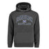 ADULT HOODIE | NVY APL EDN/FLG/SCT