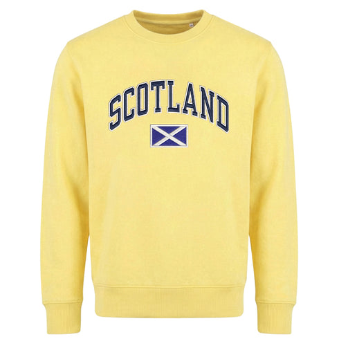 ADULT SWEATSHIRT | EMB SCT/FLG
