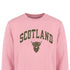 ADULT SWEATSHIRT | EMB SCT/BR COW 1