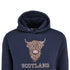 ADULT HOODIE | EMB BR COW1