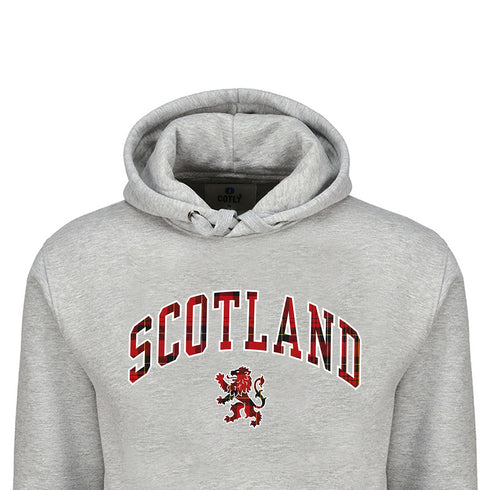 ADULT HOODIE | TRT APL SCT/LIN