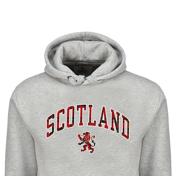 ADULT HOODIE | TRT APL SCT/LIN