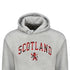ADULT HOODIE | TRT APL SCT/LIN