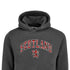 ADULT HOODIE | TRT APL SCT/LIN