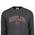 ADULT SWEATSHIRT | TRT APL SCT/LIN