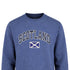 ADULT SWEATSHIRT | NVY APL SCT/FLG