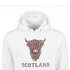 ADULT HOODIE | EMB BR COW1