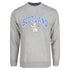 ADULT SWEATSHIRT | SP SCT/LION