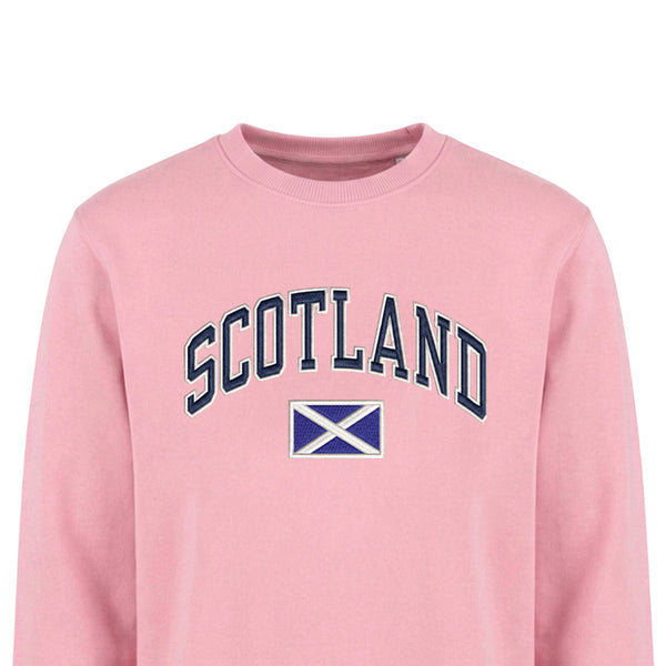 ADULT SWEATSHIRT | EMB SCT/FLG