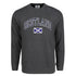 ADULT SWEATSHIRT | NVY APL SCT/FLG