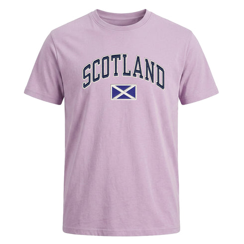ADULT T-SHIRT | EMB SCT/FLG