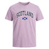 ADULT T-SHIRT | EMB SCT/FLG