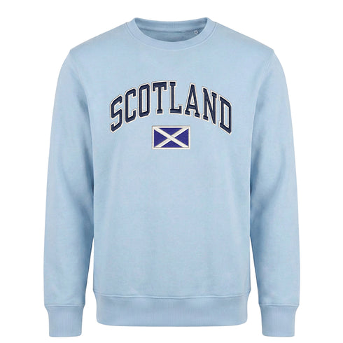 ADULT SWEATSHIRT | NVY APL SCT/FLG