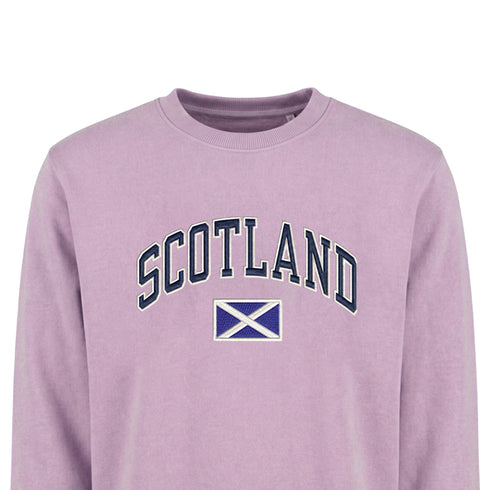 ADULT SWEATSHIRT | EMB SCT/FLG