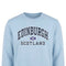 ADULT SWEATSHIRT | NVY APL EDN/FLG/SCT